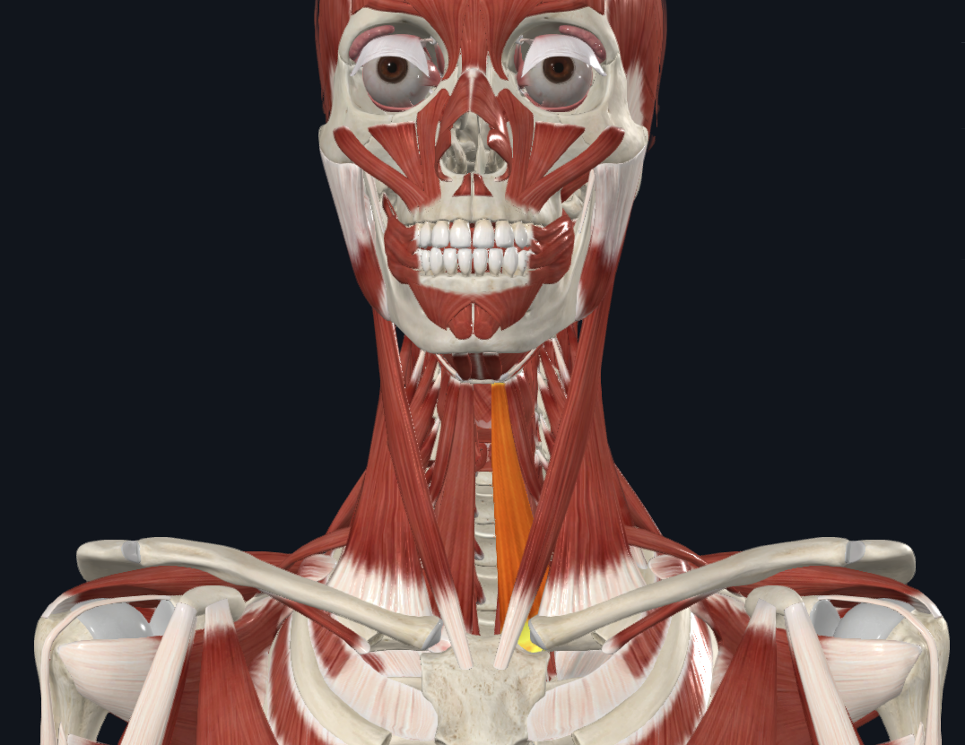 <p>What is highlighted </p>