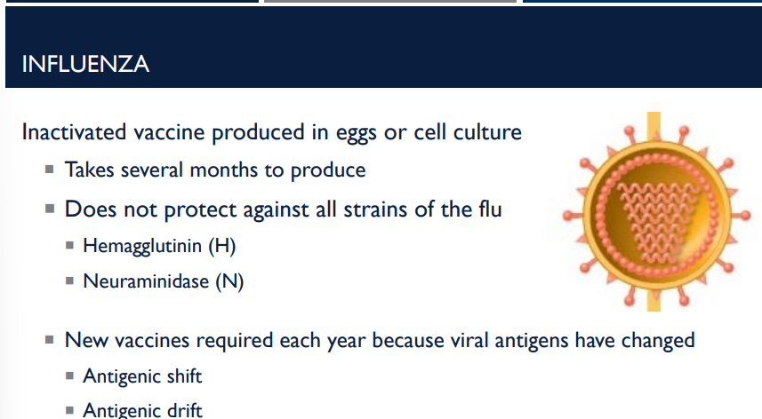 <p>Why are new vaccines for the flu required each year?</p>