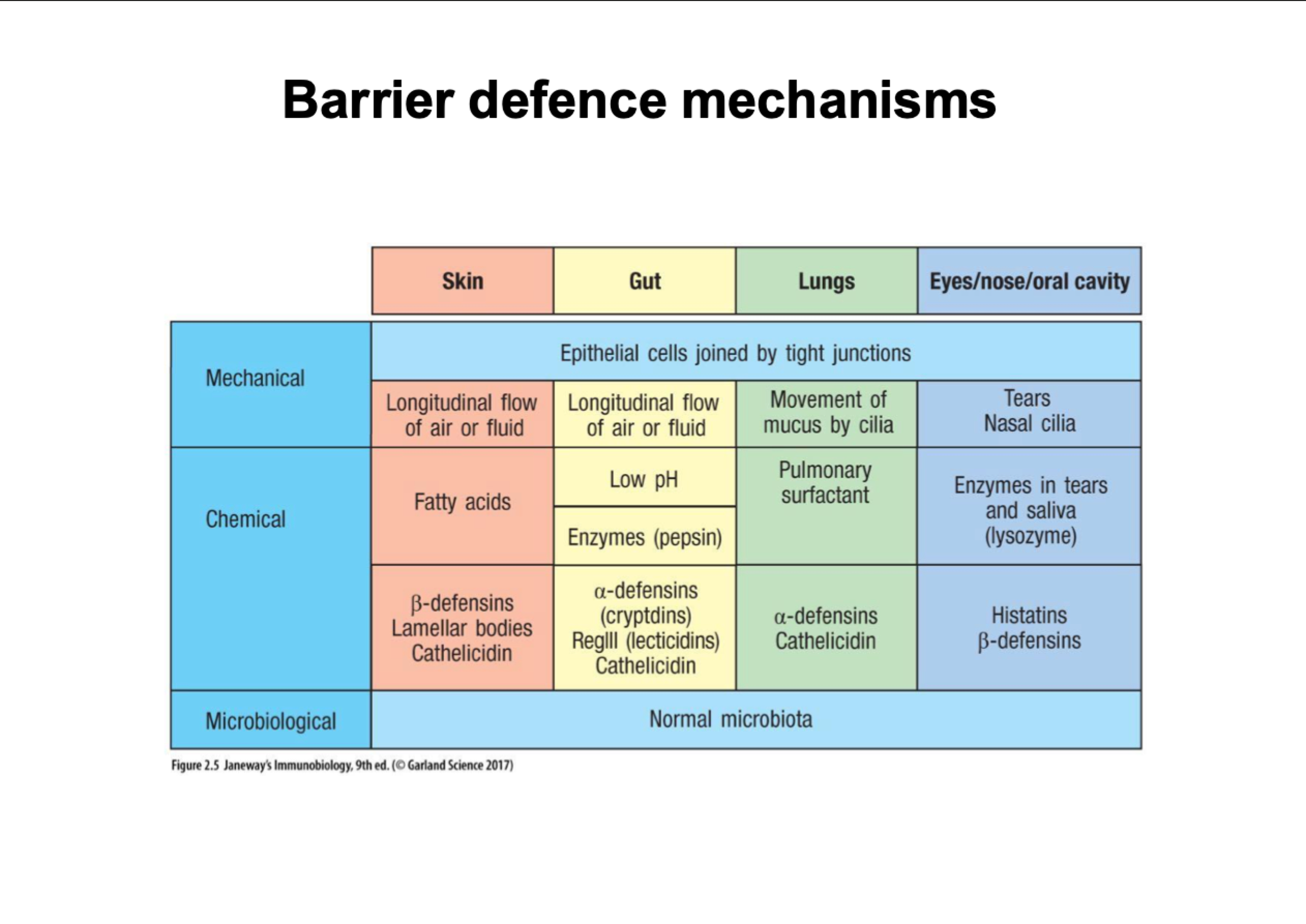 <ul><li><p>tight junctions stop things getting between cells</p></li><li><p>cilia waft upwards, pushes anything that gets in lungs</p></li><li><p>stomach low ph, acid destroys bacteria </p></li><li><p>tears have lysozymes that break down bacterial cell walls</p></li></ul><p></p>