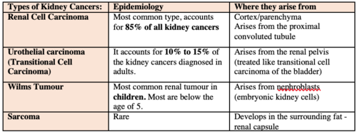 -renal cell carcinoma (includes adenocarcinoma)
-transitional cell carcinoma - renal pelvis (linked with cigarette smoking)
-wilms' tumor
renal sarcoma- originated from vasculature or connective tissue of kidney