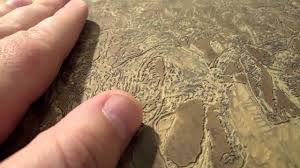 <ul><li><p>Sharp Lines</p></li><li><p>Stiff Figures</p></li></ul><p></p>