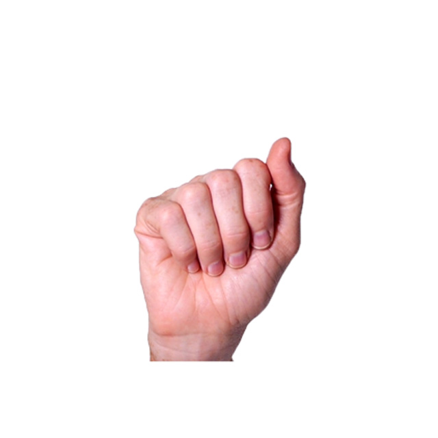 <p>A</p>