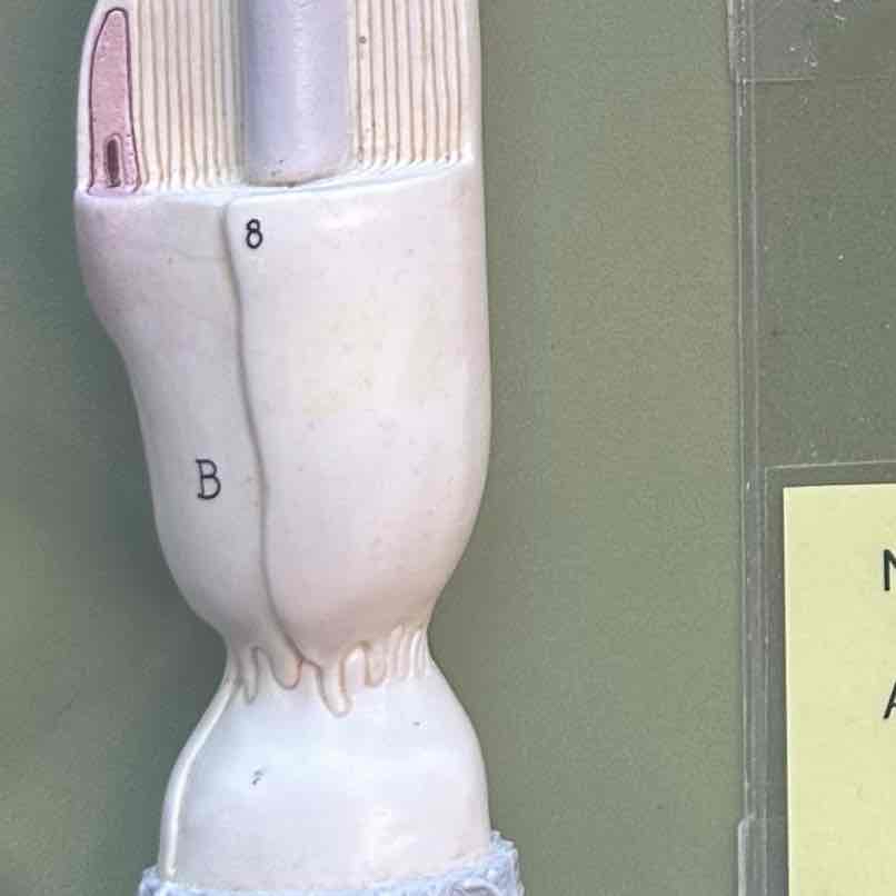 <p>8</p>