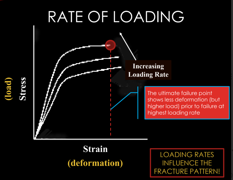 <p>the ultimate failure point shows less deformation (but higher load) prior to failure at (lowest//highest) loading rate</p>