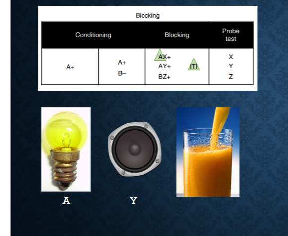 <p>describe blocking expreiment</p>