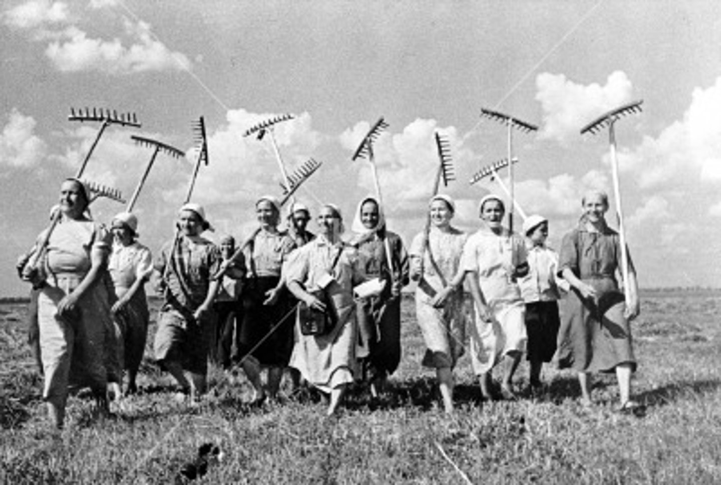 <p>When the government assumes ownership of all farms and where peasants work on a quota system.</p>