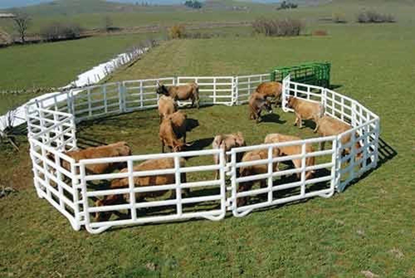 <p>/ˈlaɪvˌstɒk/ • Noun • Farm animals regarded as an asset • Gia súc • They raise livestock for meat and dairy production.</p>