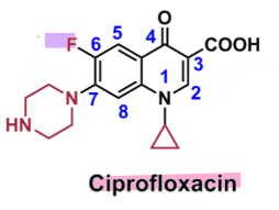 <ul><li><p>contains <strong>piperazine</strong> ring at C7</p><ul><li><p>increases antibacterial spectrum and PK</p></li></ul></li><li><p>contains <strong>cyclopropyl </strong>off N in ring</p><ul><li><p>provides broad spectrum activirty</p></li></ul></li><li><p>contains <strong>fluorine</strong> off C6</p><ul><li><p>aids in cell wall penetration </p></li></ul></li><li><p>can cause reactive oxygen species </p></li><li><p><strong>pharmaceutical</strong> drug interaction with calcium (and divalent/trivalent cations) due to double bonded O and COOH</p><ul><li><p>decreases absorption and therapeutic effect </p></li></ul></li></ul>