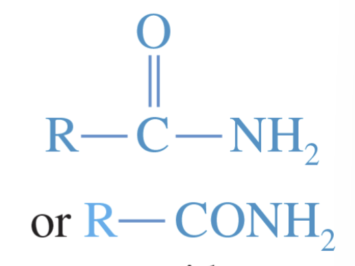<p>Amide</p>