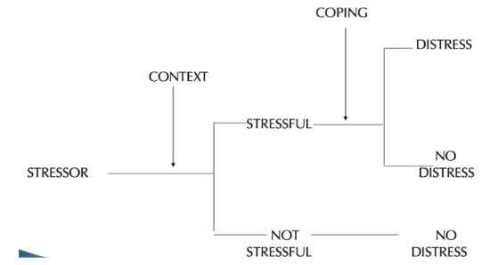 <p>Multi-stage model of stress</p>
