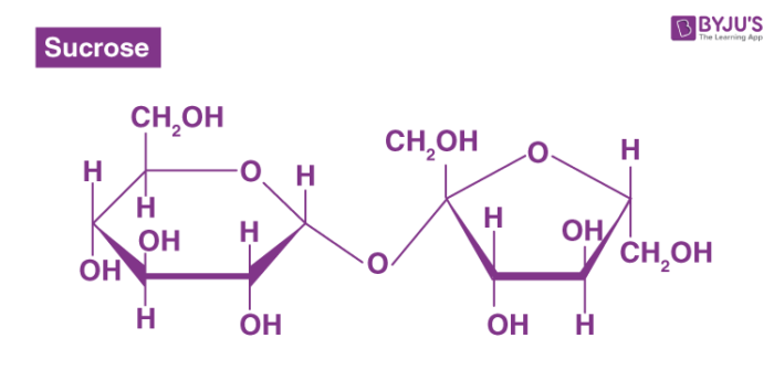 <ul><li><p>A carbohydrate formed from two monosaccharides linked by a glycosidic bond.</p></li><li><p>A dehydration synthesis reaction must occur (an H<sub>2</sub>O molecule is lost)</p></li></ul><p></p>