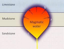 <p>Metasomatism (hydrothermal)</p>