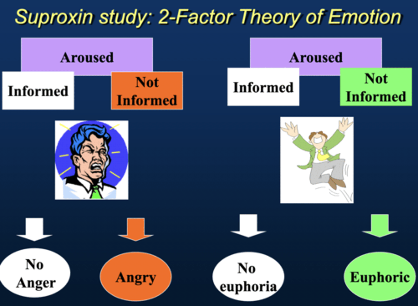 <p>1) Physiological Arousal</p><p>2) "Label" of arousal → We interpret the arousal based on context.</p><p>"Suproxin" Study: Participants got a placebo or epinephrine which causes arousal, and told it helps vision.</p><p>Group 1: Informed → Told about side effects.</p><p>Group 2: Uninformed → Not told about side effects.</p><p>Both groups placed with an actor (confederate):</p><p>Hostile actor → Uninformed participants felt angrier.</p><p>Euphoric actor → Uninformed participants felt happier.</p><p>Key Takeaway: If we don’t know the source of arousal, we look to social cues or SITUATION to determine our emotion.</p>
