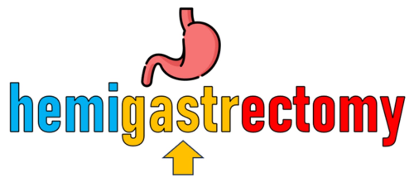 <p>the part of a word that tells its primary meaning; also called a base word element</p>