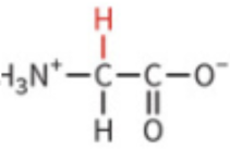 <ul><li><p>only H atom as side chain</p></li><li><p>not chiral</p></li><li><p>can reside in sites where two polypeptides come into close contact</p></li></ul><p></p>