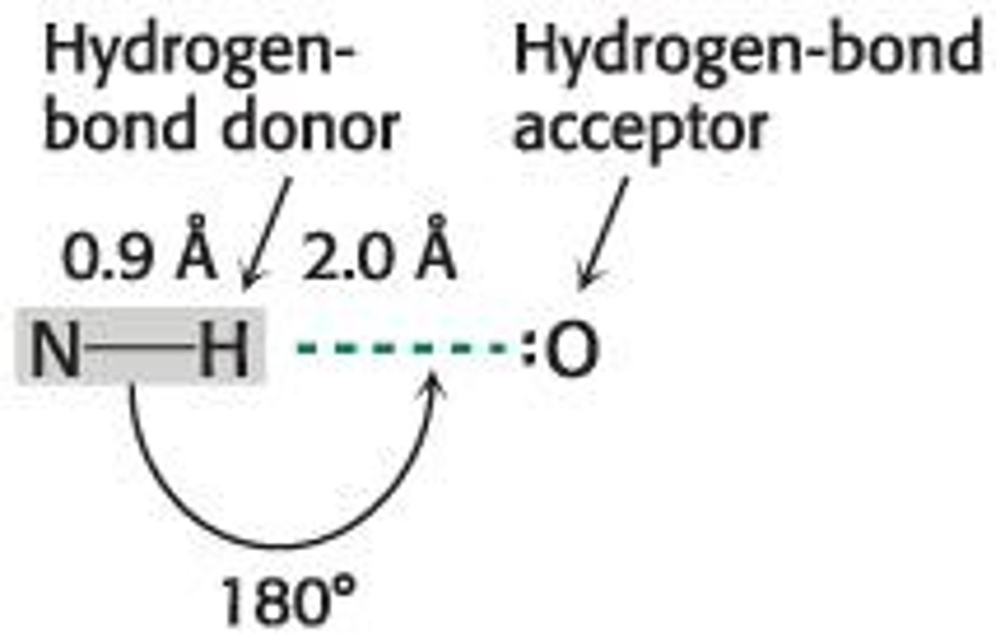 <p>A specific dipole-dipole interaction between an electronegative atom and a hydrogen atom covalently bonded to another electronegative atom.</p>
