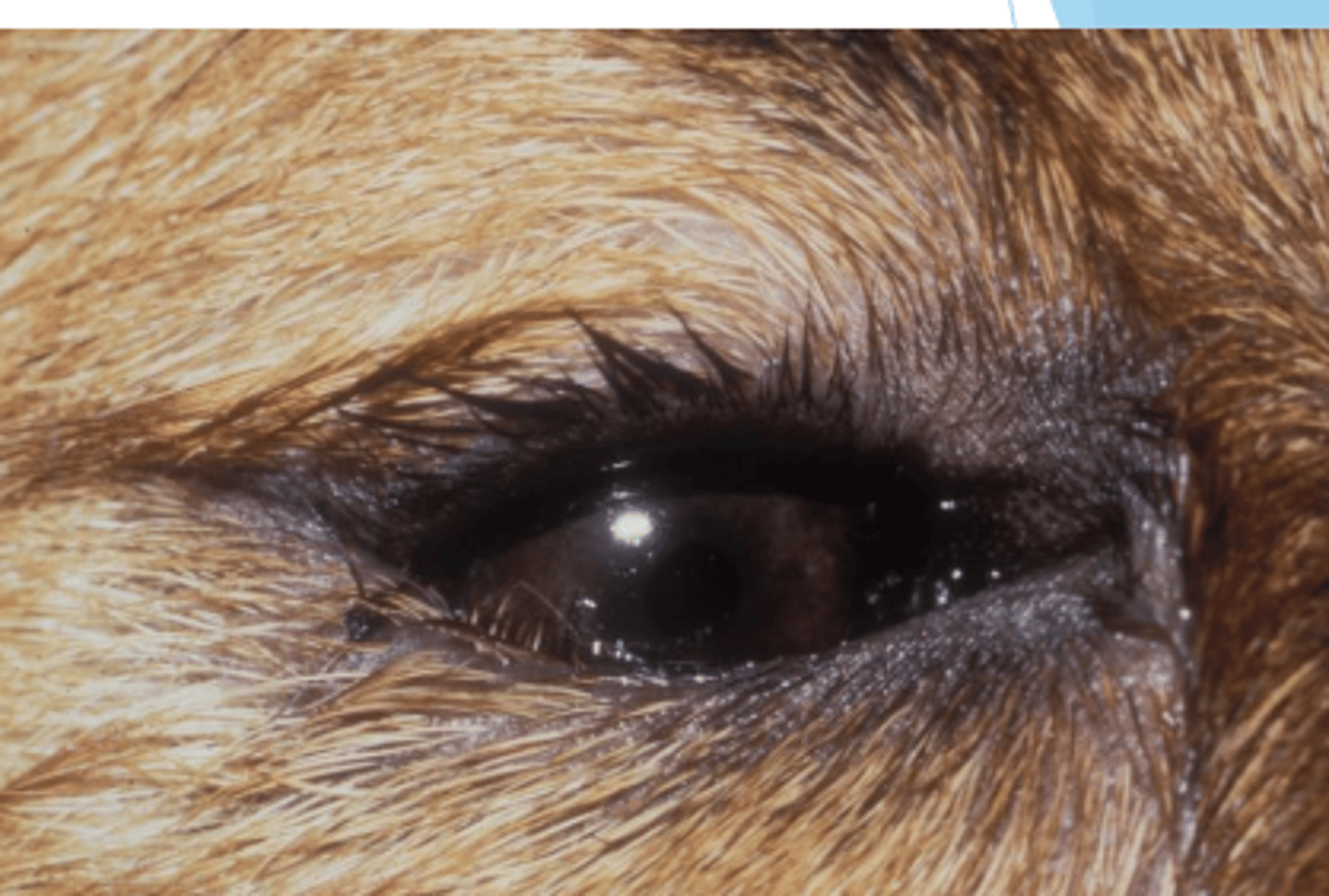 <p>what is this called?</p>