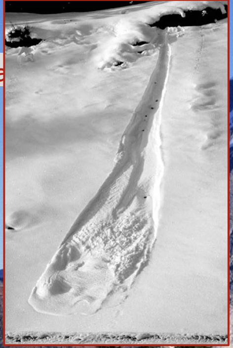  These begin as an initial failure after a heavy snowfall.

\
The sliding snow then causes more failures in the adjacent snowpack causing the trough to widen