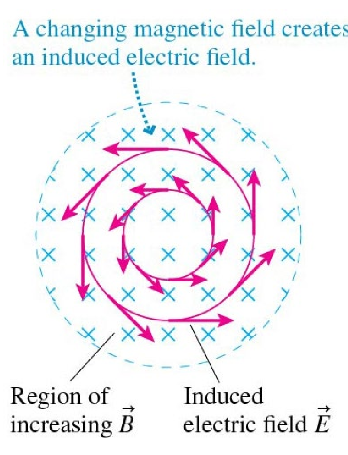 <p>E induced </p>