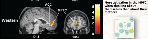 Different brain regions activated --> represent themselves and their mothers in distinct ways (independent self)

More activation in MPFC when thinking about themselves than about their mothers