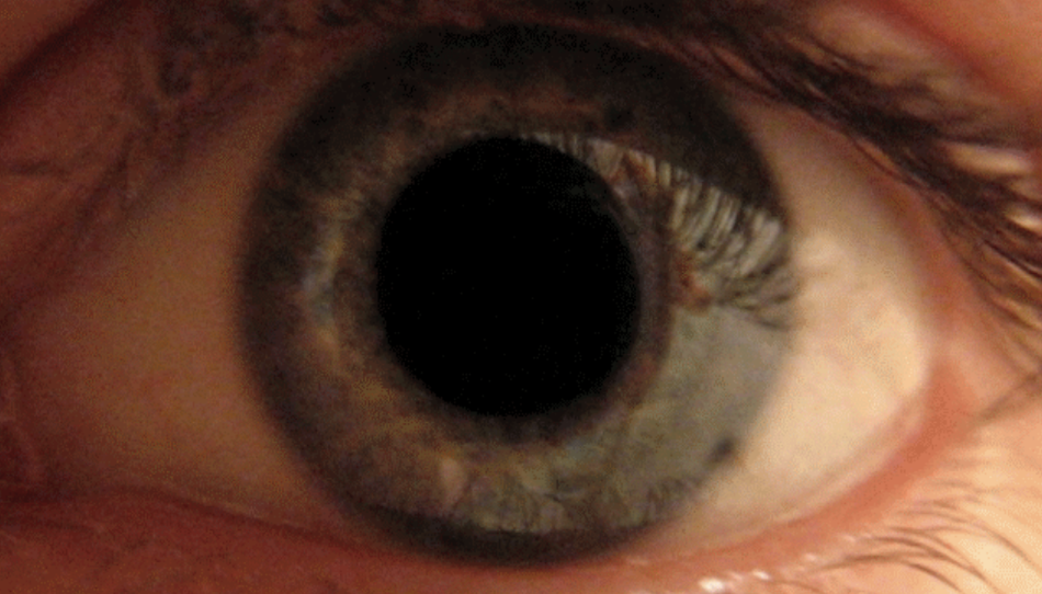 <p>also supplies autonomic impulses that constrict pupil and change the shape of lens</p>