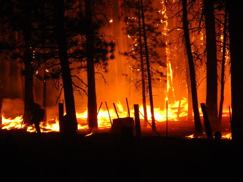 (wild) fire