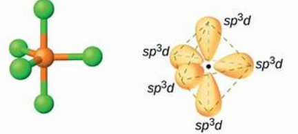 <p>Sp<sup>3</sup>d hybridisation involves the mixing of one s, three p, and one d orbital, resulting in five hybrid orbitals. The geometry is trigonal bipyramidal, with a notable example being ClF<sub>3</sub>.</p>