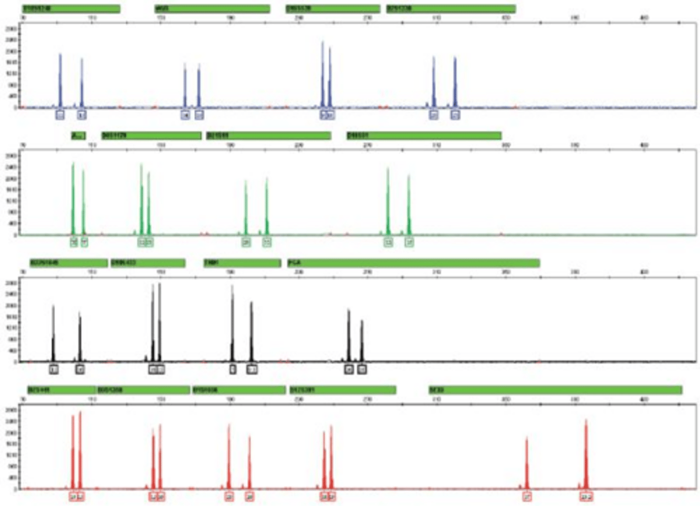 <p>It is used to separate and detect fluorescently-labeled DNA fragments based on their size.</p>