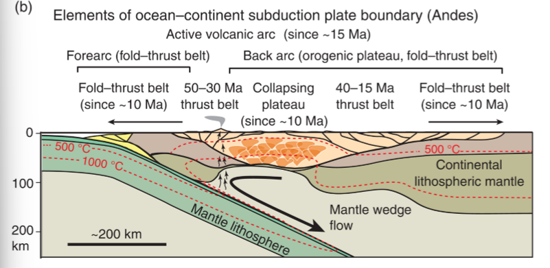 <ul><li><p>felsic-intermediates</p></li><li><p>produced at surface </p></li><li><p>forearc (fold/thrust), back arc (orogenic plateau) </p></li><li><p>no trench, no accretionary wedge</p></li></ul><p></p>