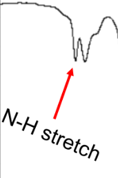 <p>N-H</p>