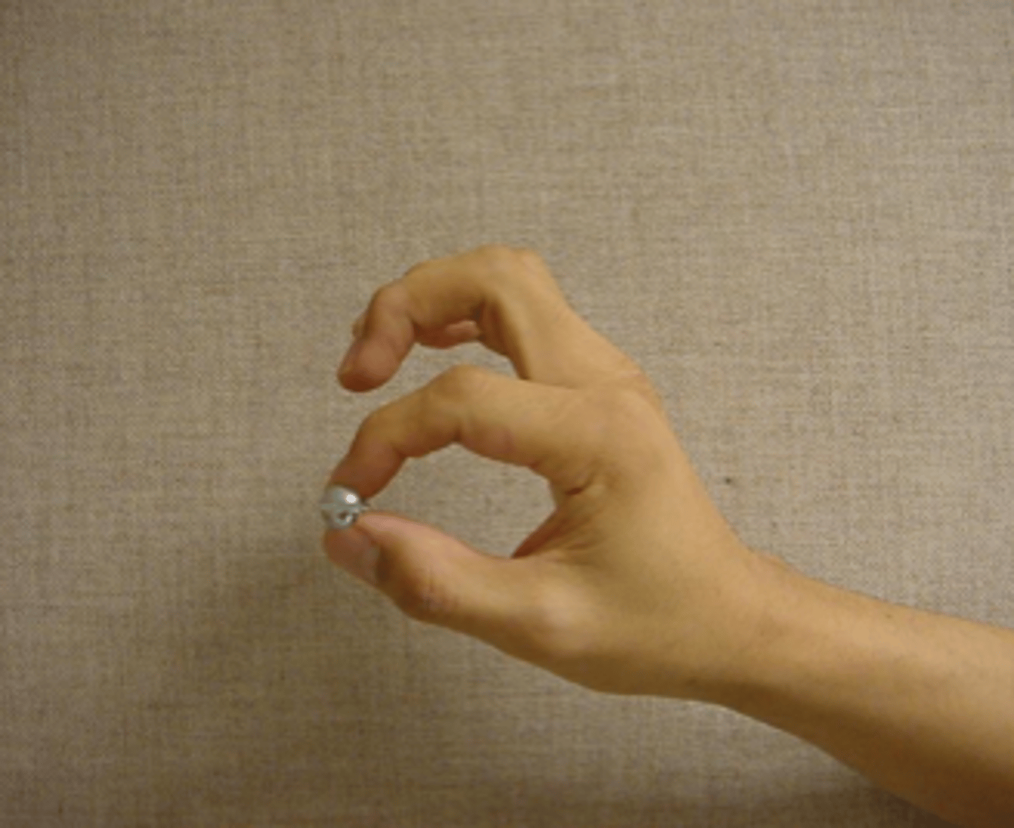 <p>a type of grip involving the tips of the thumb and finger, used by primates (to varying extents) for precise manipulation of objects of various sizes</p>