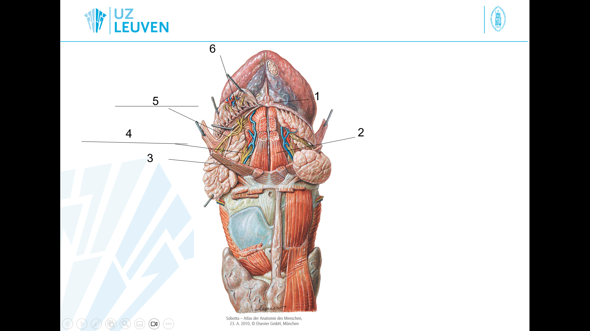 <p>6</p>