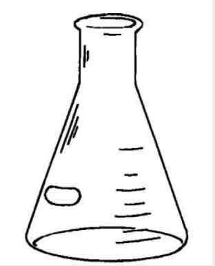 <p>Erlenmeyer Flask</p>