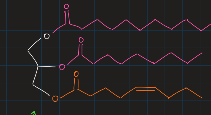 <p>components of cell membranes</p><ul><li><p>more efficient at storing anergy than carbohydrates</p></li><li><p>amphipathic: has both hydrophilic &amp; hydrophobic regions</p><ul><li><p>hydrophilic carboxylic acid head</p></li><li><p>hydrophobic hydrocarbon tail</p></li></ul></li><li><p>saturated vs unsaturated</p></li></ul><p></p>