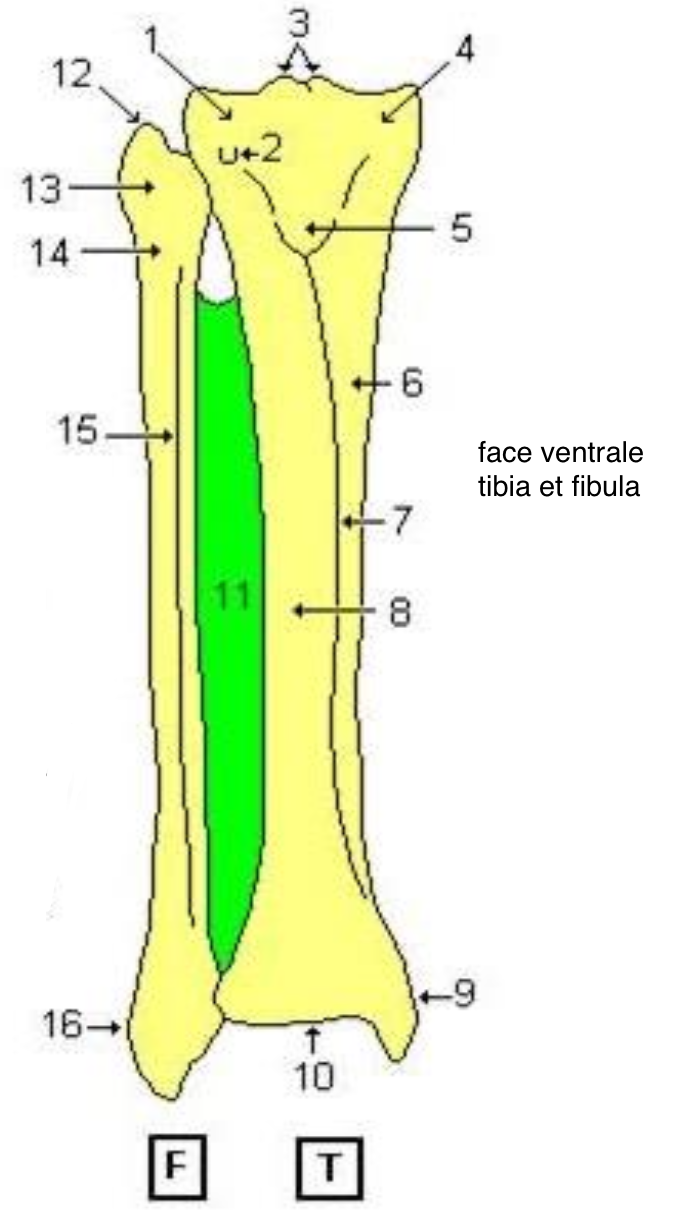 <p>2</p>