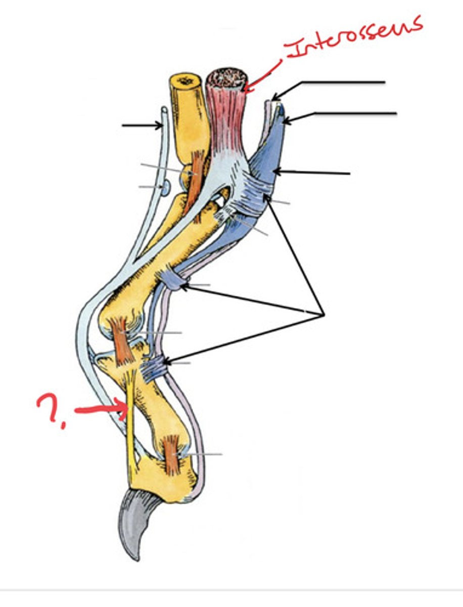 <p>What is the arrow pointing to?</p>