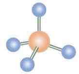 <p>109.5º, SN: 4</p>