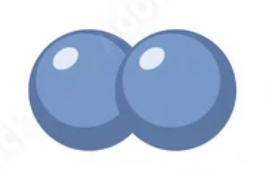 <p>cocci that remain associated in pairs</p>