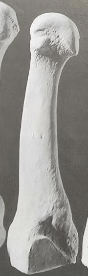 <p>see image</p>