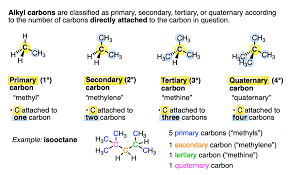 <p>carbon atom bonded to only one other carbon atom, least stable</p>