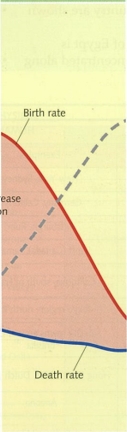 <ul><li><p>High growing population</p></li><li><p>population growth begins to slow down -due to improved education</p></li><li><p>Falling birth rate-slows down due to improved education</p></li><li><p>Low death rate</p></li><li><p>Higher life expectancy-medical provision and nutrition have continued to improve.</p></li></ul>