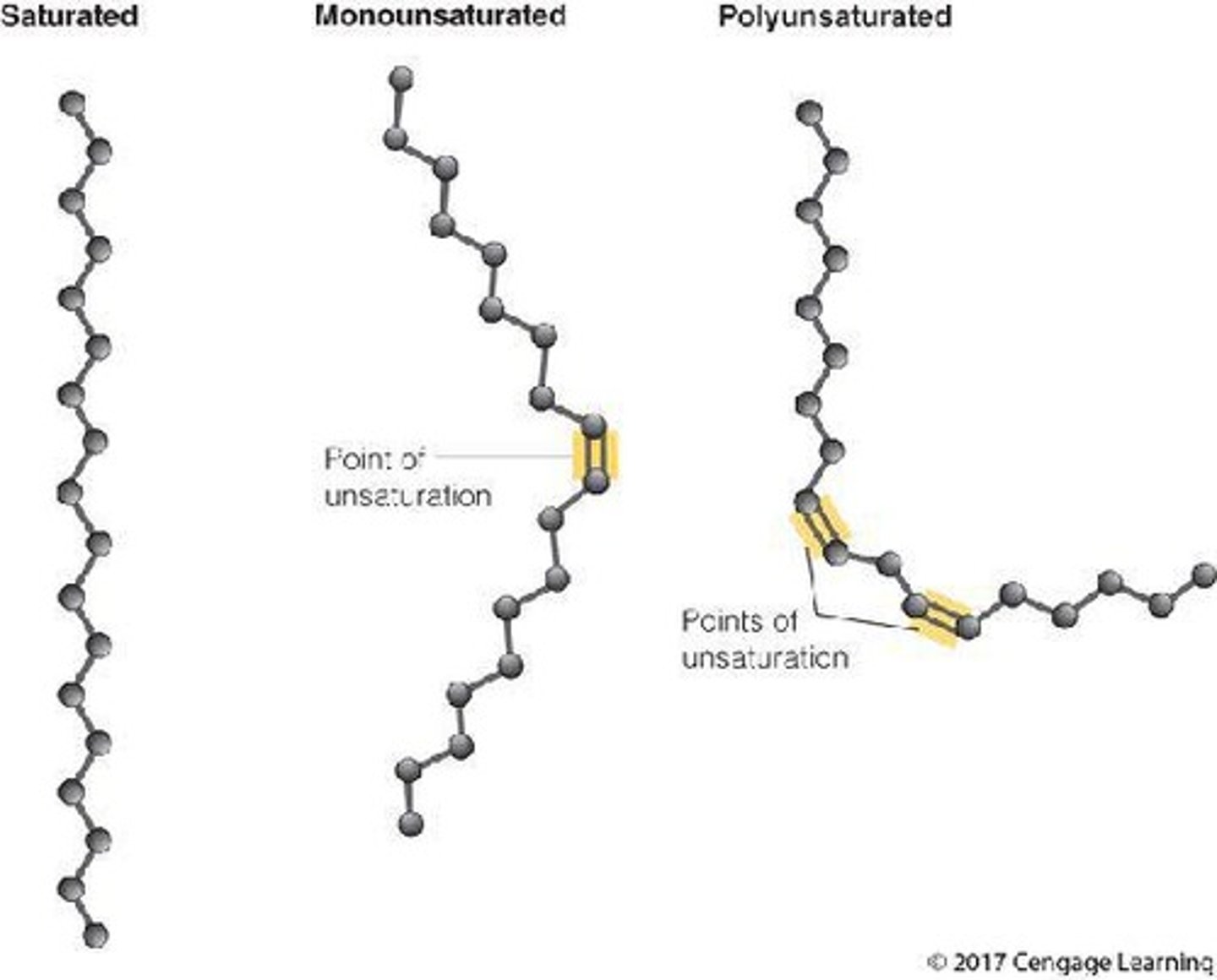 <p>Saturated fatty acids have maximum hydrogens and only single bonds between carbons, while unsaturated fatty acids have one or more double bonds.</p>