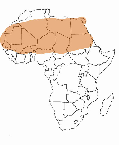 <p><span>A huge desert stretching across most of North Africa</span></p>