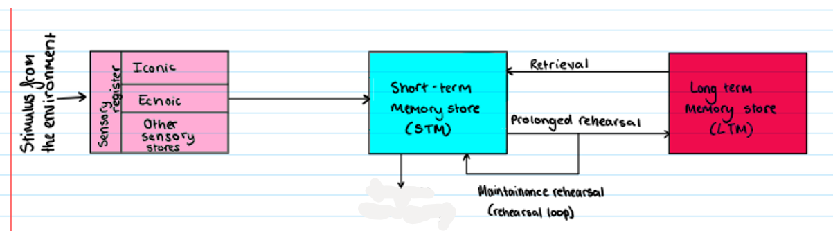 <p><strong>Multi Store Model</strong></p><p>What is missing?</p>