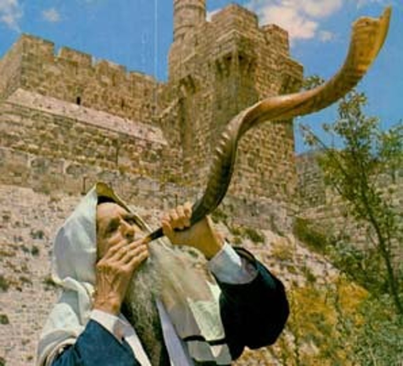 <p>a ram's-horn trumpet used by ancient Jews in religious ceremonies and as a battle signal, now sounded at Rosh Hashanah and Yom Kippur.</p>