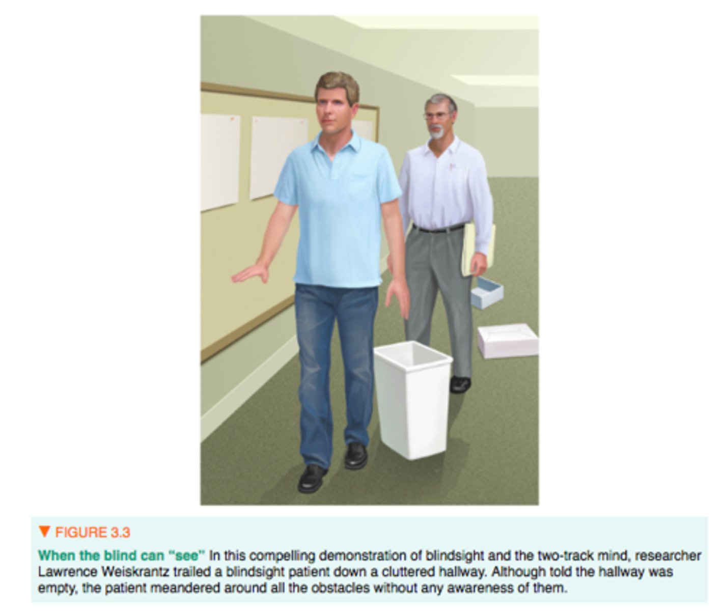 <p>the ability of individuals with blindness to detect and respond to visual stimuli despite lacking awareness of having seen anything</p>