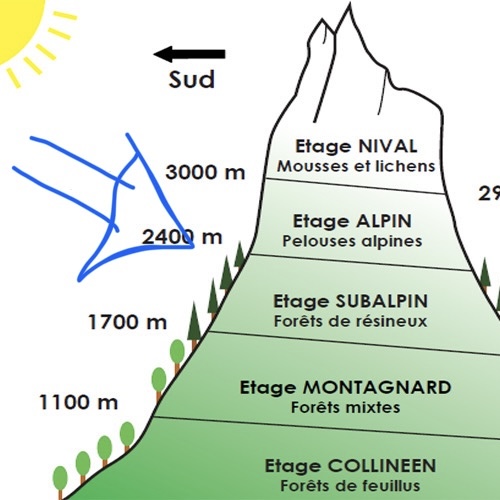 <p>Quel est le nom du versant d’une montagne exposé au soleil dans l’hémisphère nord ?</p>