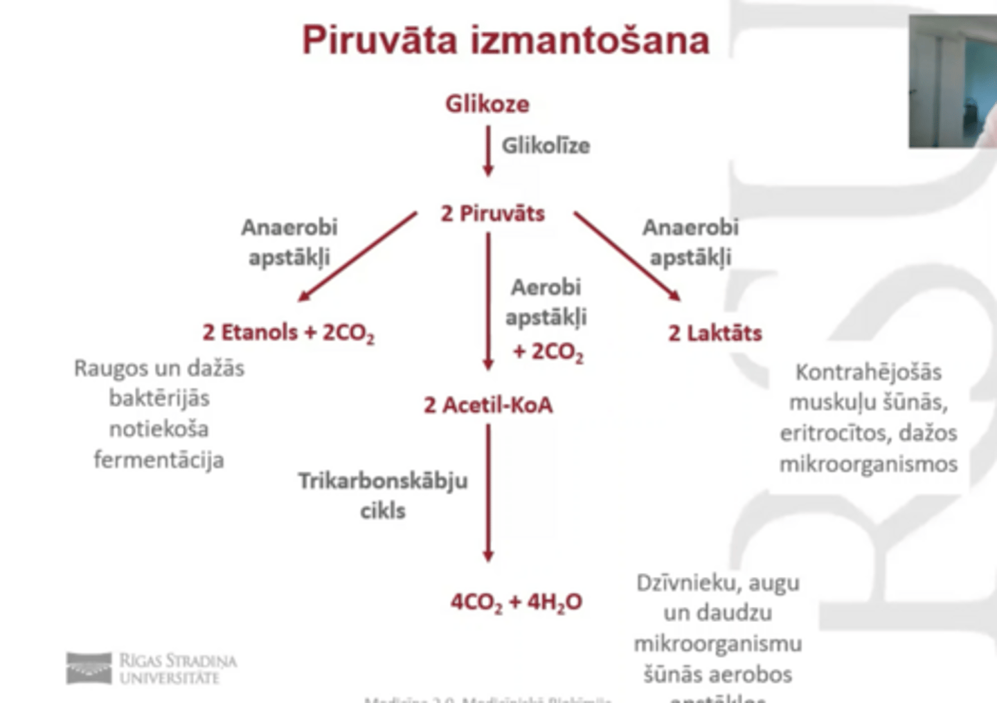 <p>1. veids- pārvērst 2 laktātā/ pienskābju (muskuļšūnās, eritrocītos, mikroorganismos)</p><p>2- veids- pārvērst par etanolu (cilvēki nevar) raugos var=2 etanols +co2</p>