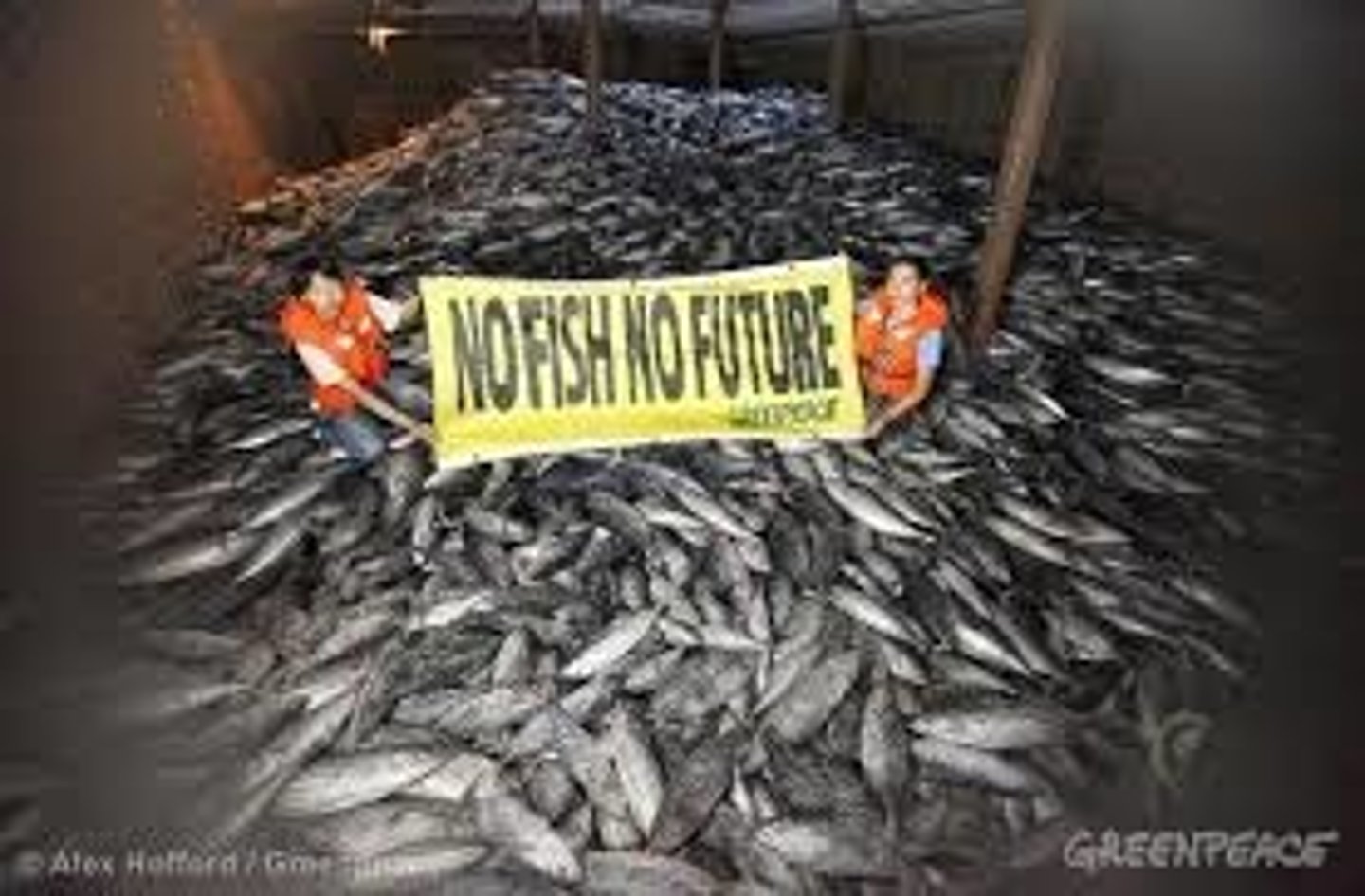<p>Catching fish faster than they can reproduce. Hurts our oceans.</p>