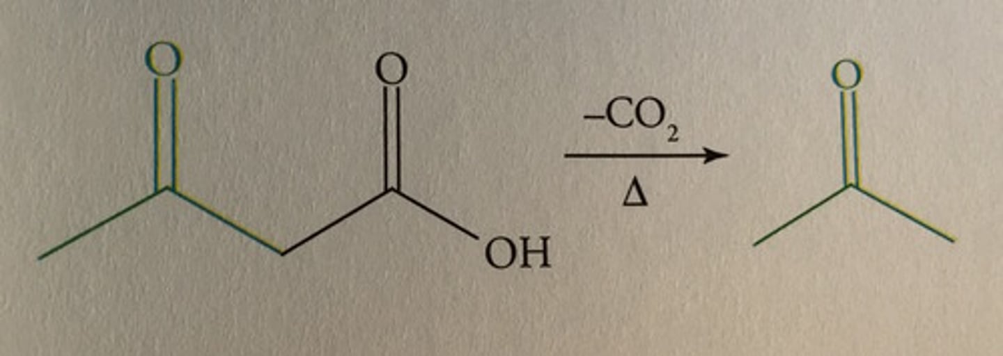 <p>1. - CO2</p><p>2. Heat</p>